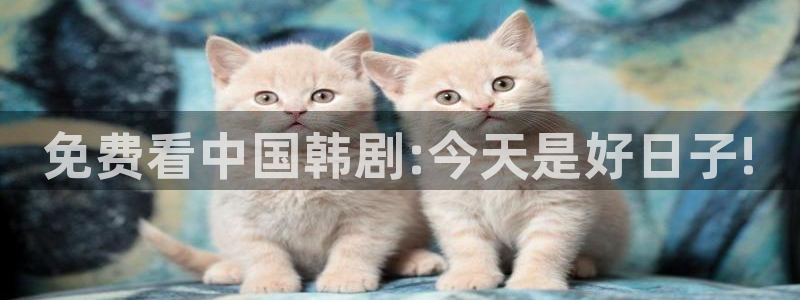 免费看中国韩剧:今天是好日子!