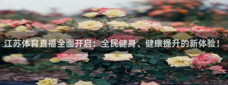 江苏体育直播全面开启：全民健身、健康提升的新体验！