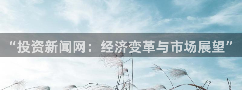“投资新闻网：经济变革与市场展望”