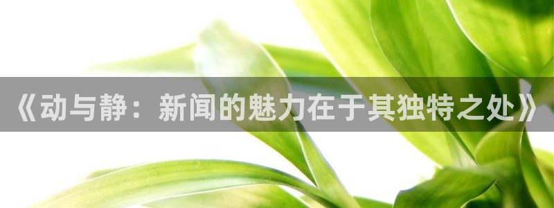 《动与静：新闻的魅力在于其独特之处》