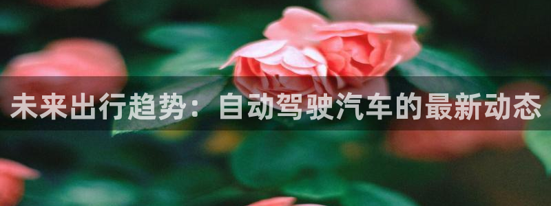 未来出行趋势：自动驾驶汽车的最新动态