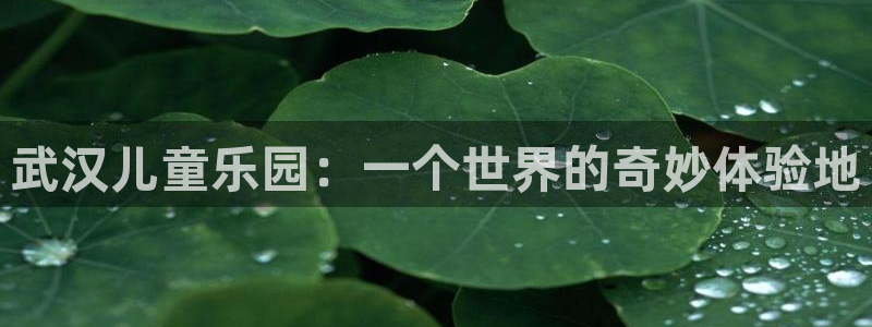 武汉儿童乐园：一个世界的奇妙体验地