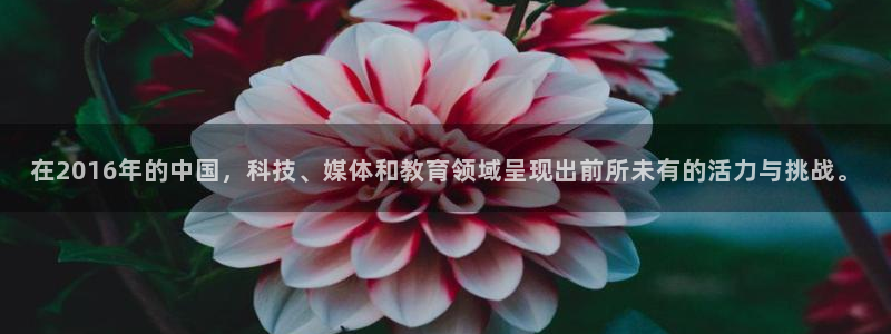 在2016年的中国，科技、媒体和教育领域呈现出前所未有的活力与挑战。