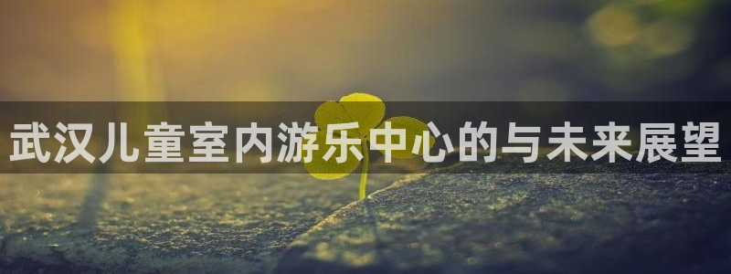 武汉儿童室内游乐中心的与未来展望
