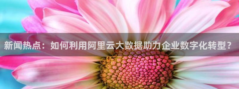 新闻热点：如何利用阿里云大数据助力企业数字化转型？