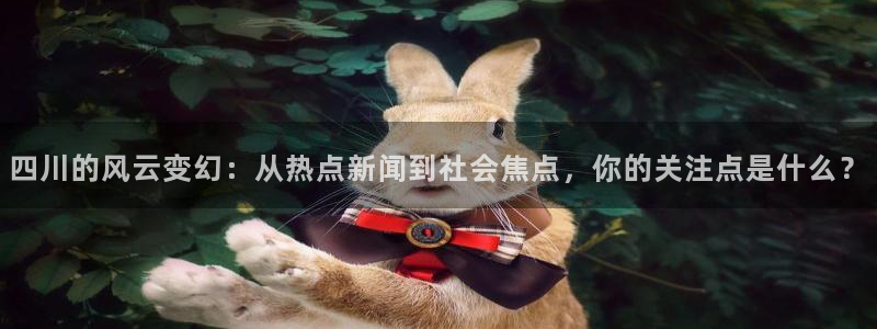 四川的风云变幻：从热点新闻到社会焦点，你的关注点是什么？