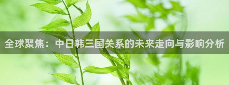 全球聚焦：中日韩三国关系的未来走向与影响分析