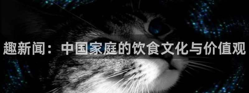 趣新闻：中国家庭的饮食文化与价值观