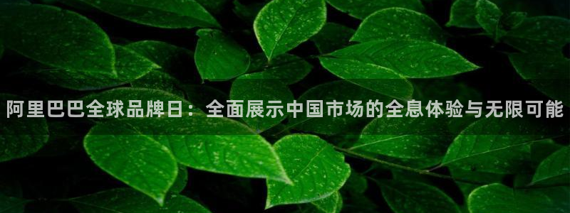 阿里巴巴全球品牌日：全面展示中国市场的全息体验与无限可能