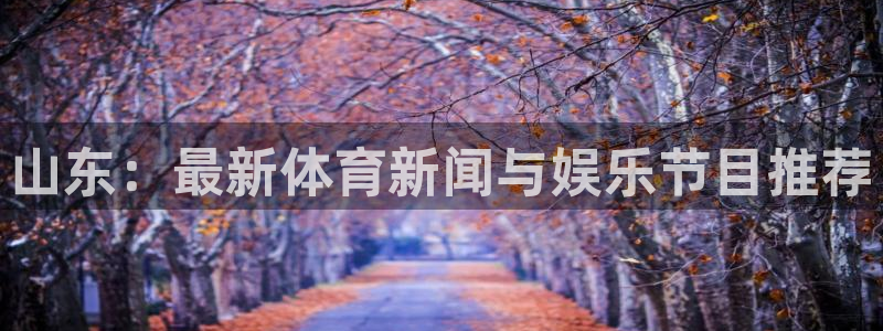 山东：最新体育新闻与娱乐节目推荐