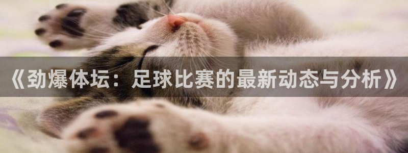 《劲爆体坛：足球比赛的最新动态与分析》