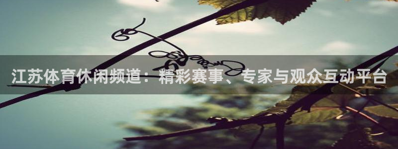江苏体育休闲频道：精彩赛事、专家与观众互动平台