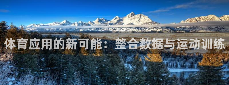 体育应用的新可能：整合数据与运动训练