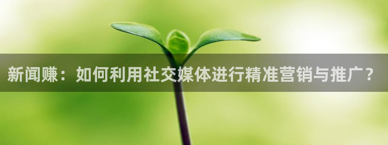 新闻赚：如何利用社交媒体进行精准营销与推广？