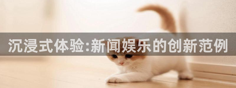 沉浸式体验:新闻娱乐的创新范例