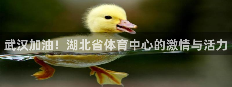 武汉加油！湖北省体育中心的激情与活力