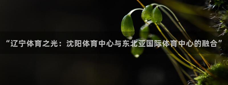 “辽宁体育之光：沈阳体育中心与东北亚国际体育中心的融合”