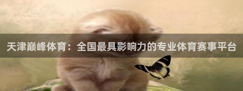 天津巅峰体育：全国最具影响力的专业体育赛事平台
