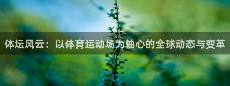 体坛风云：以体育运动场为轴心的全球动态与变革