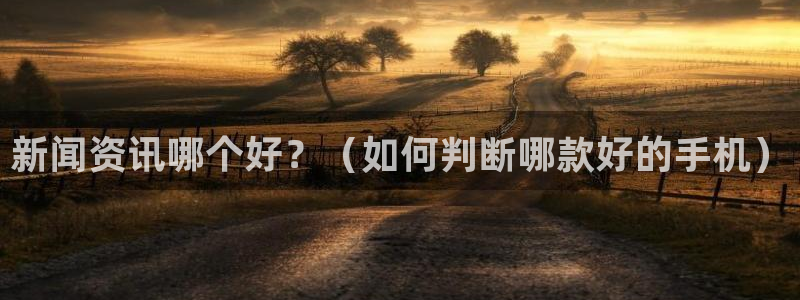 新闻资讯哪个好？（如何判断哪款好的手机）