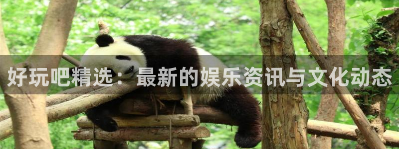 好玩吧精选：最新的娱乐资讯与文化动态