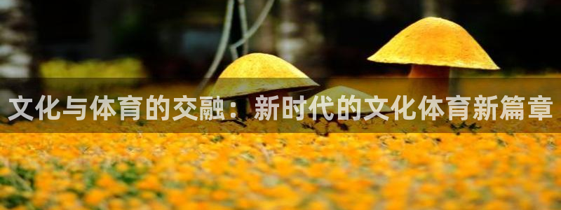 文化与体育的交融：新时代的文化体育新篇章