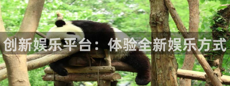 创新娱乐平台：体验全新娱乐方式