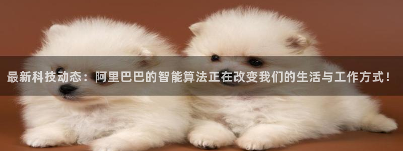 最新科技动态：阿里巴巴的智能算法正在改变我们的生活与工作方式！
