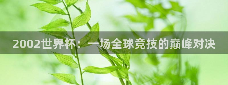 2002世界杯：一场全球竞技的巅峰对决