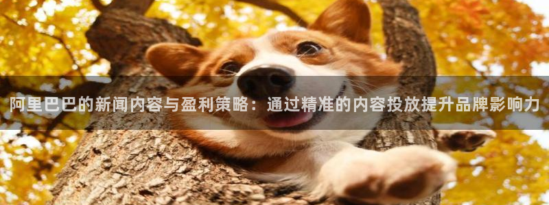 阿里巴巴的新闻内容与盈利策略：通过精准的内容投放提升品牌影响力