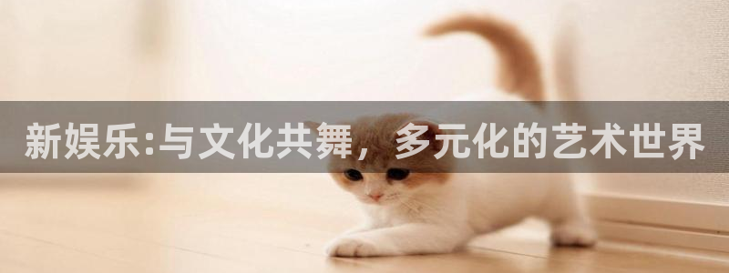 新娱乐:与文化共舞，多元化的艺术世界