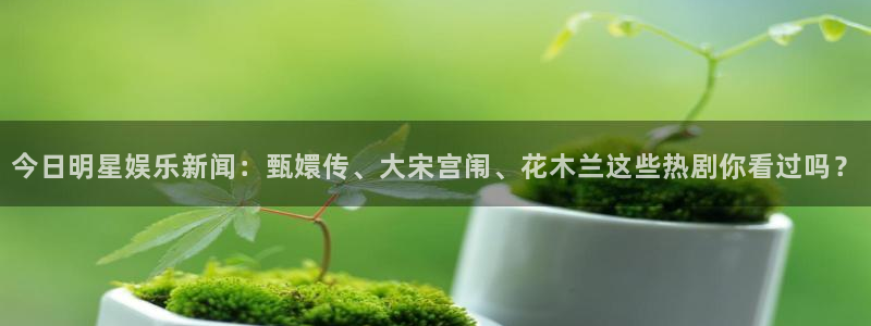 今日明星娱乐新闻：甄嬛传、大宋宫闱、花木兰这些热剧你看过吗？