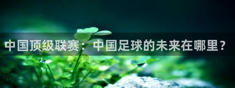 中国顶级联赛：中国足球的未来在哪里？
