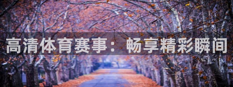 高清体育赛事：畅享精彩瞬间