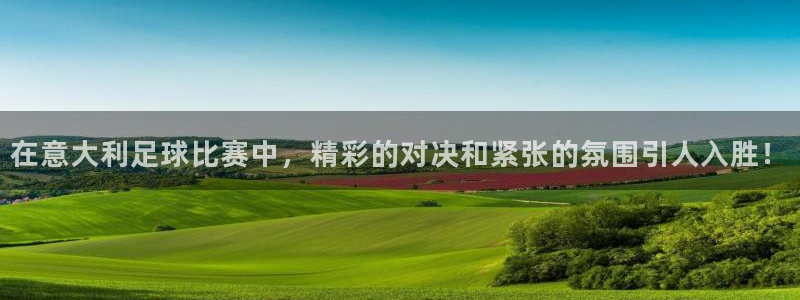 在意大利足球比赛中，精彩的对决和紧张的氛围引人入胜！