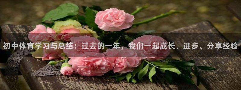 初中体育学习与总结：过去的一年，我们一起成长、进步、分享经验
