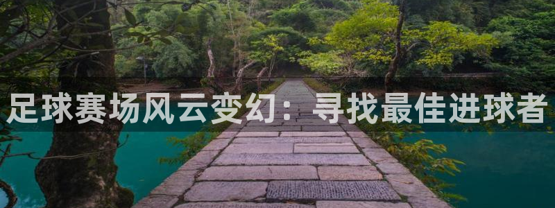 足球赛场风云变幻：寻找最佳进球者