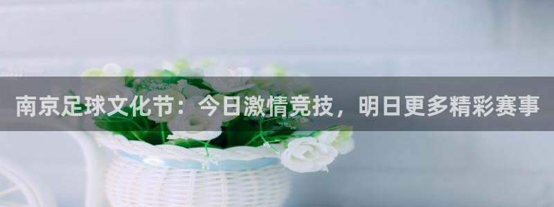 南京足球文化节：今日激情竞技，明日更多精彩赛事