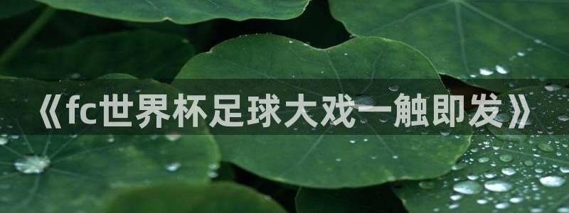 《fc世界杯足球大戏一触即发》