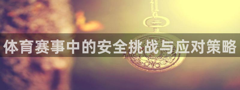 体育赛事中的安全挑战与应对策略