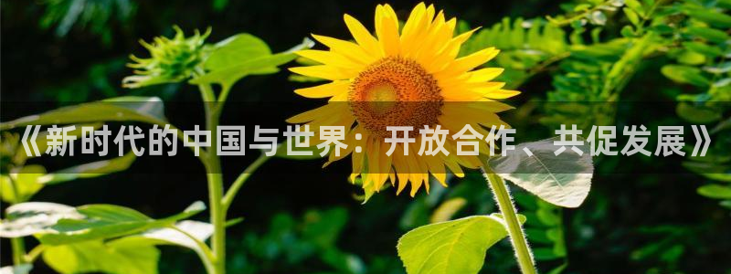 《新时代的中国与世界：开放合作、共促发展》
