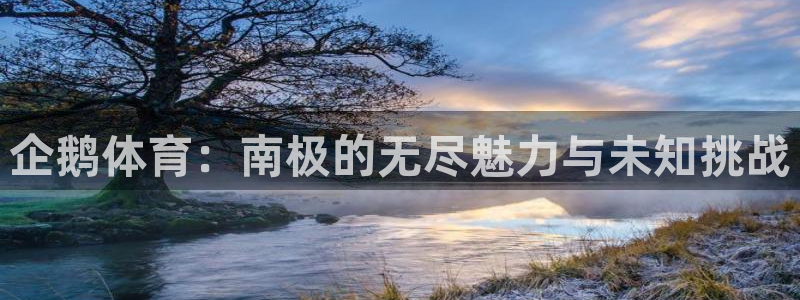 企鹅体育：南极的无尽魅力与未知挑战