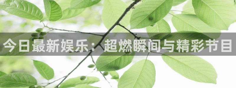 今日最新娱乐：超燃瞬间与精彩节目
