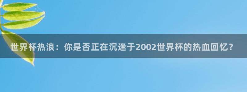 世界杯热浪：你是否正在沉迷于2002世界杯的热血回忆？