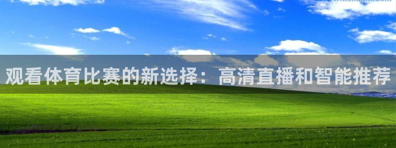 观看体育比赛的新选择：高清直播和智能推荐
