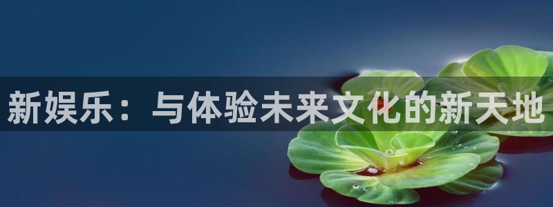 新娱乐：与体验未来文化的新天地