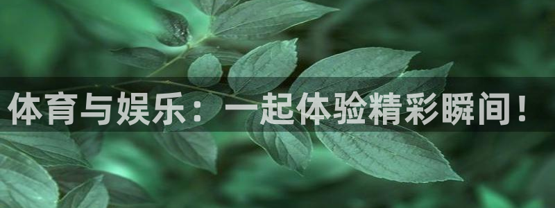 体育与娱乐：一起体验精彩瞬间！
