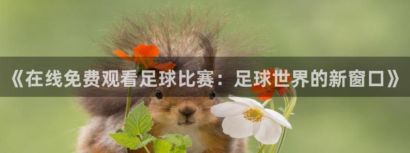 《在线免费观看足球比赛：足球世界的新窗口》