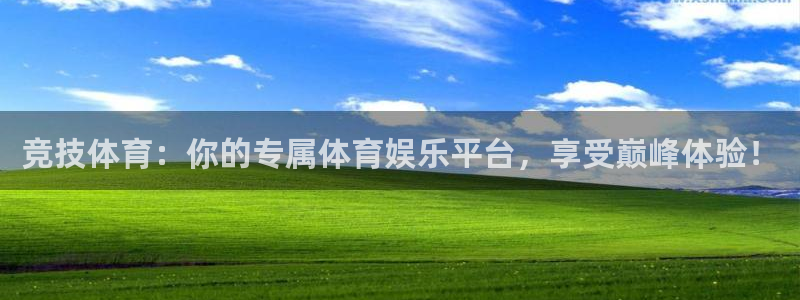 竞技体育：你的专属体育娱乐平台，享受巅峰体验！