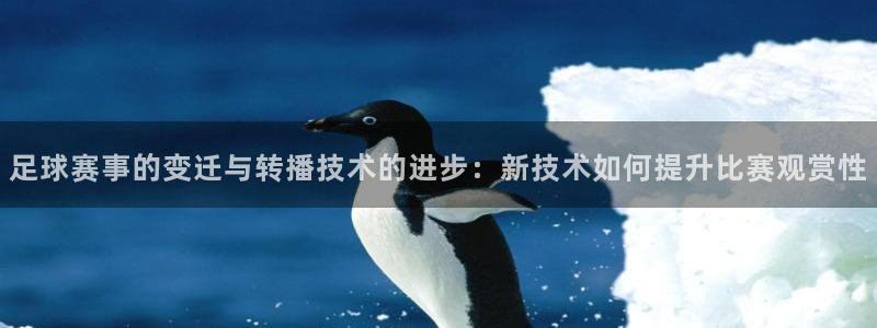 足球赛事的变迁与转播技术的进步：新技术如何提升比赛观赏性